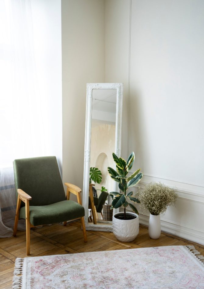 interior-decor-with-mirror-potted-plant
