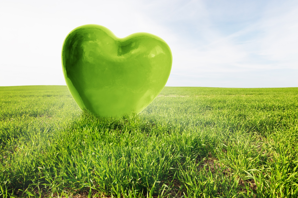 large-green-heart-field