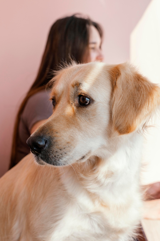 blurry-woman-with-cute-dog