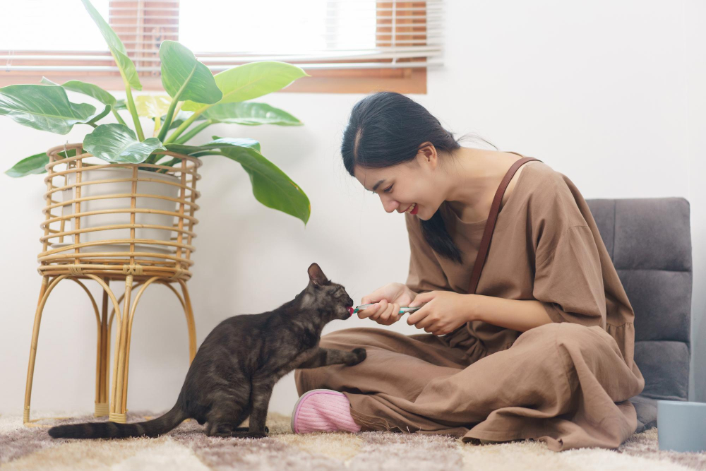 pet-lover-concept-young-asian-woman-sitting-sofa-floor-feeding-cat-with-creamy-treat-home