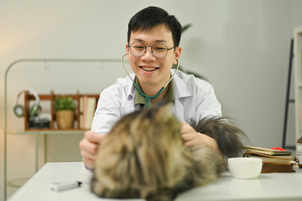 smiling-male-veterinarian-examining-fluffy-cat-during-appointment-veterinary-clinic-pet-care-animal-clinic-vaccination